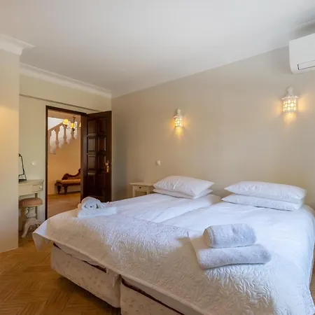 Casa Sapo Gordo * Luz